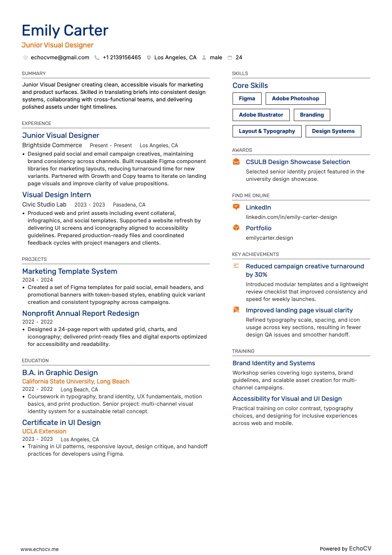 Junior Visual Designer example resume