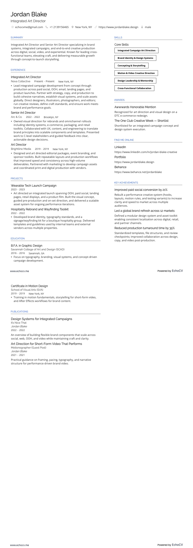 資深藝術總監 resume example