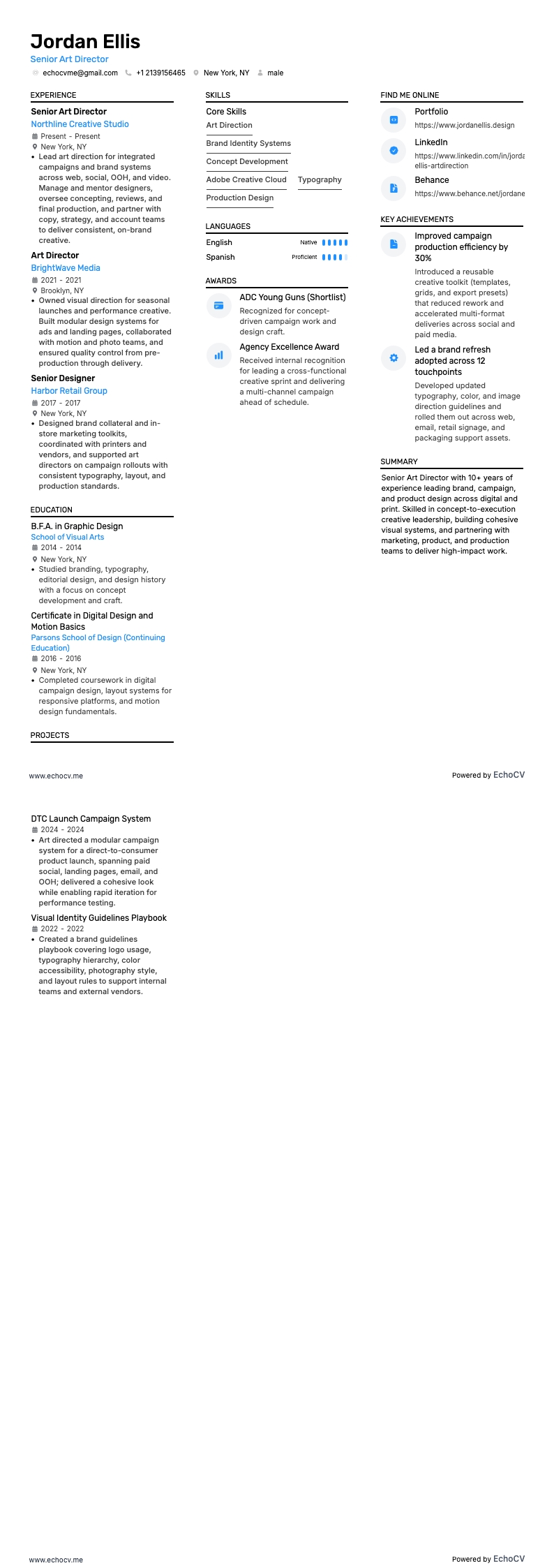 Art Director example resume