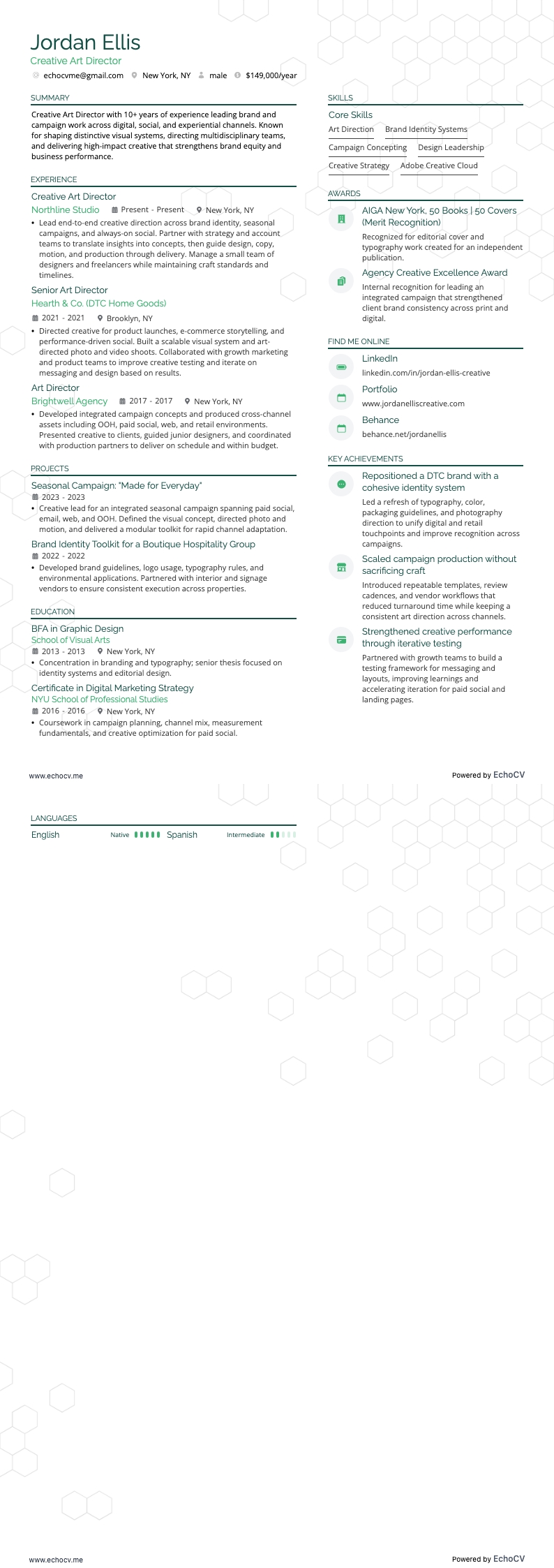 Creative Art Director example resume