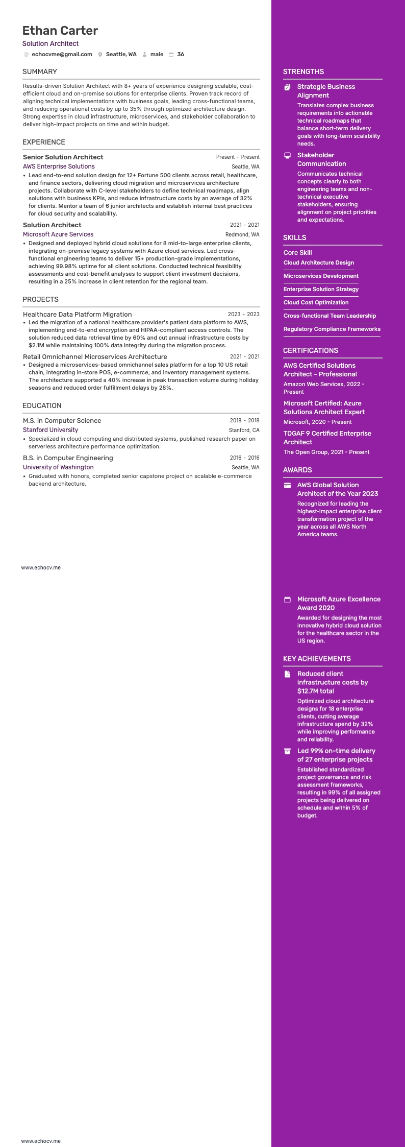 Solution Architect example resume
