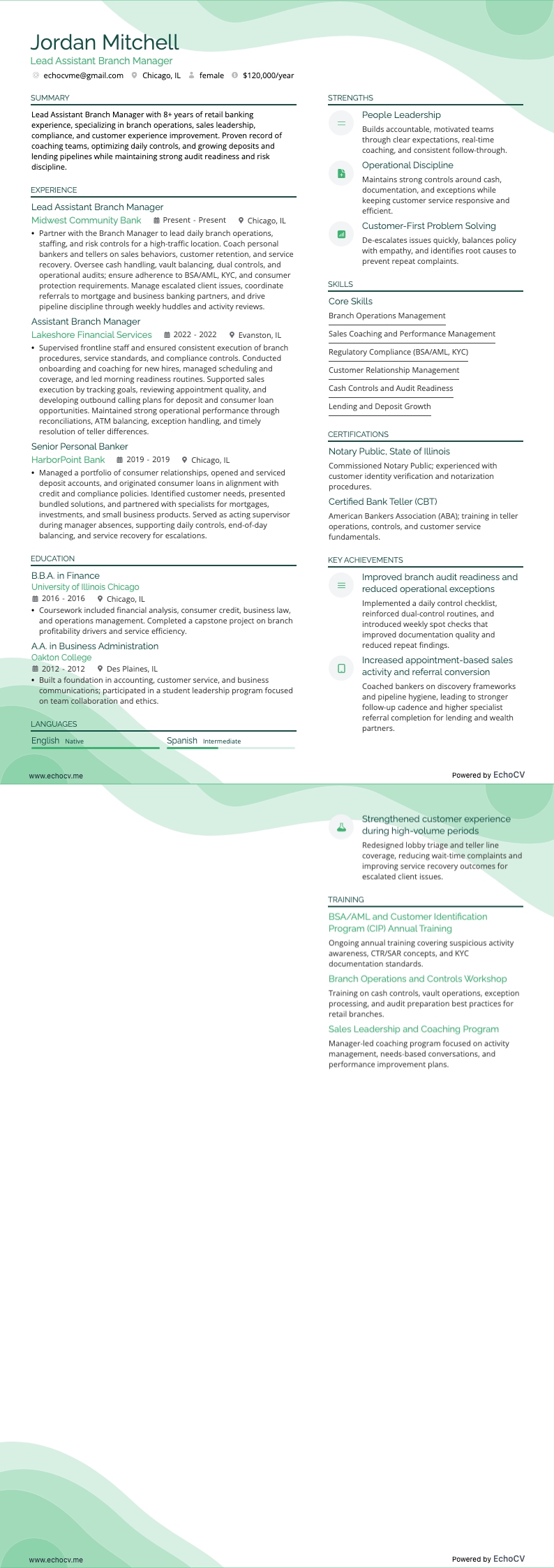 Vice direttore di filiale resume example