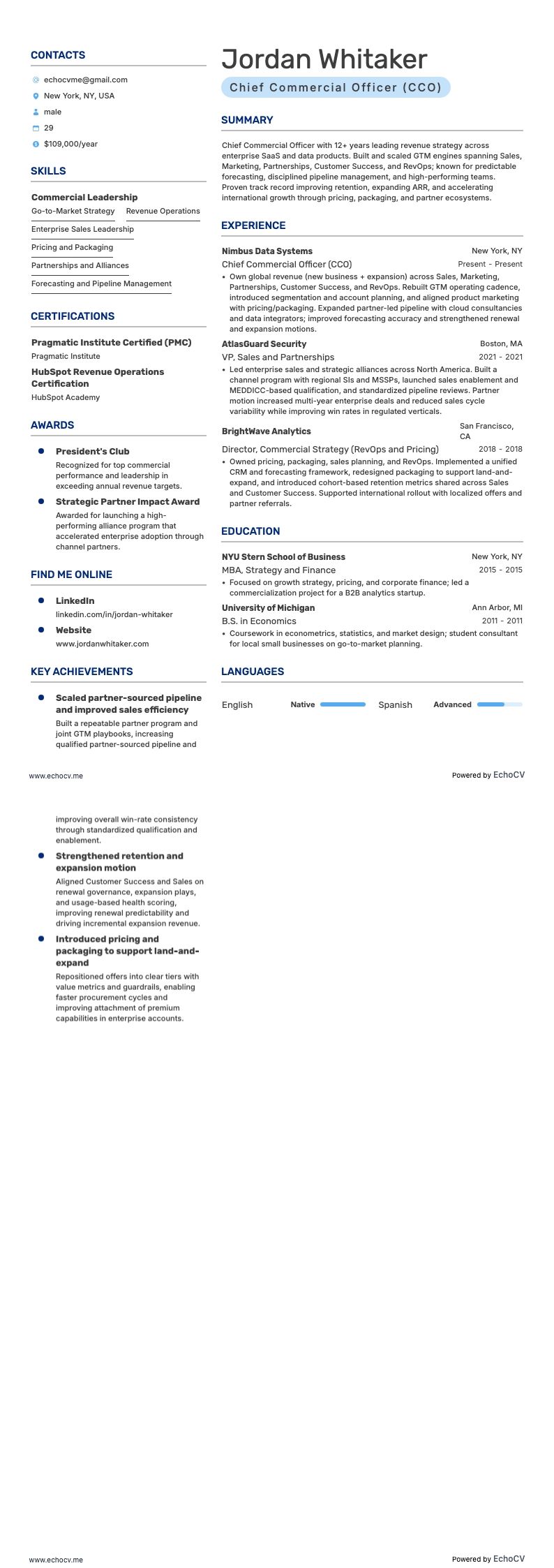 CCO resume example