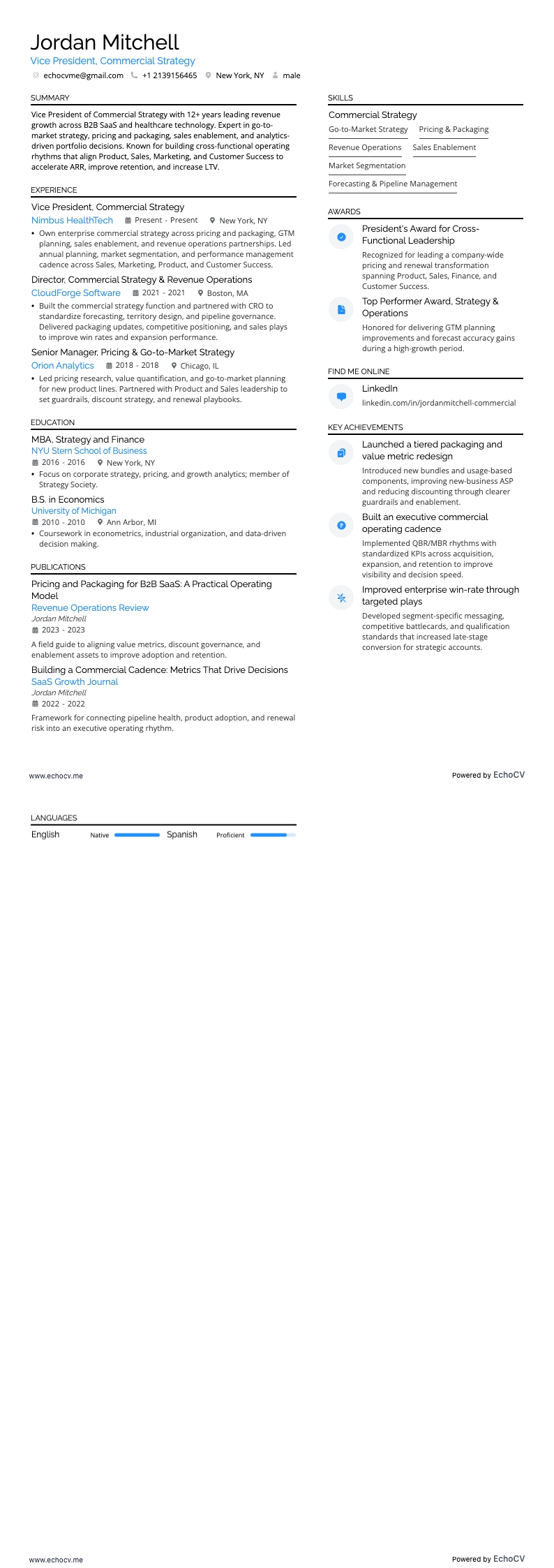 Vice President, Commercial Strategy full preview