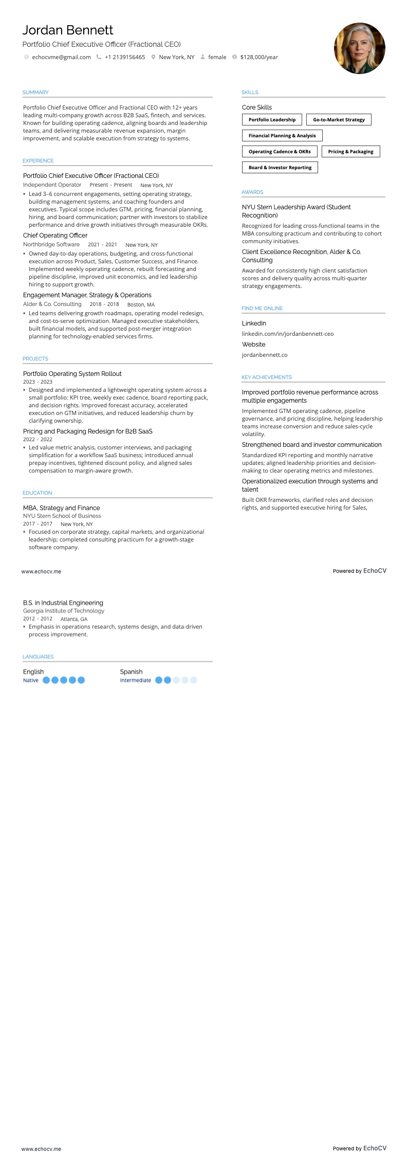 Portfolio chief executive officer example resume