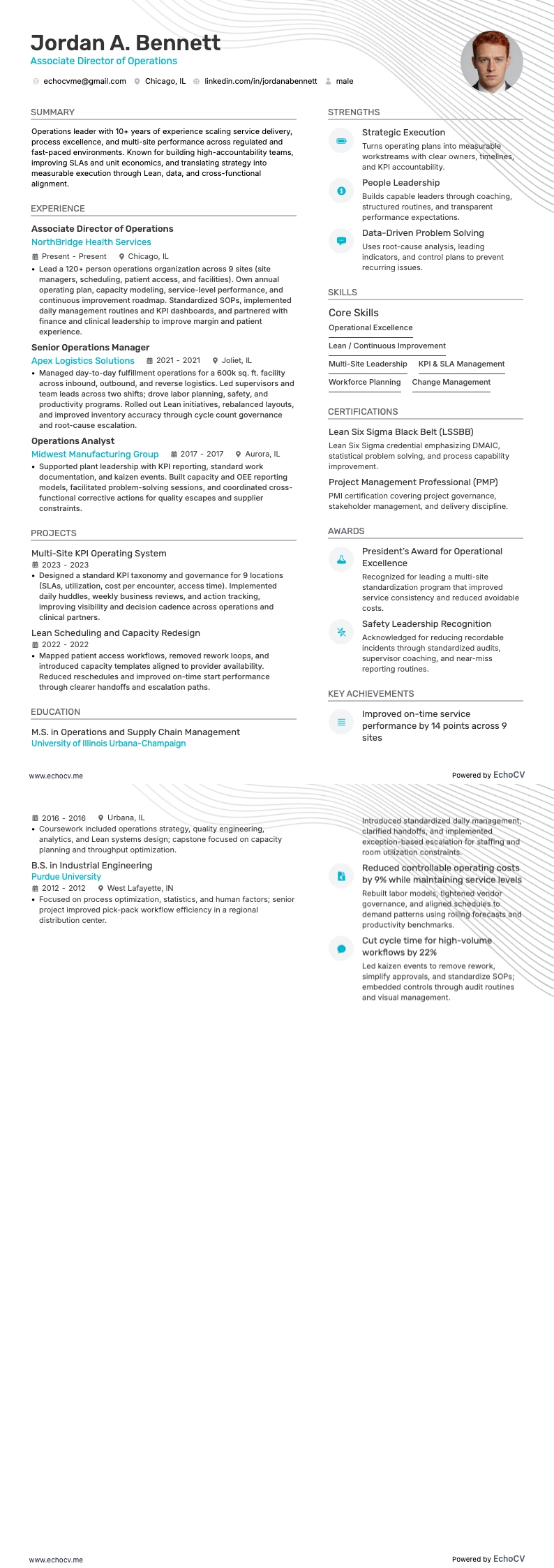 副总监 resume example