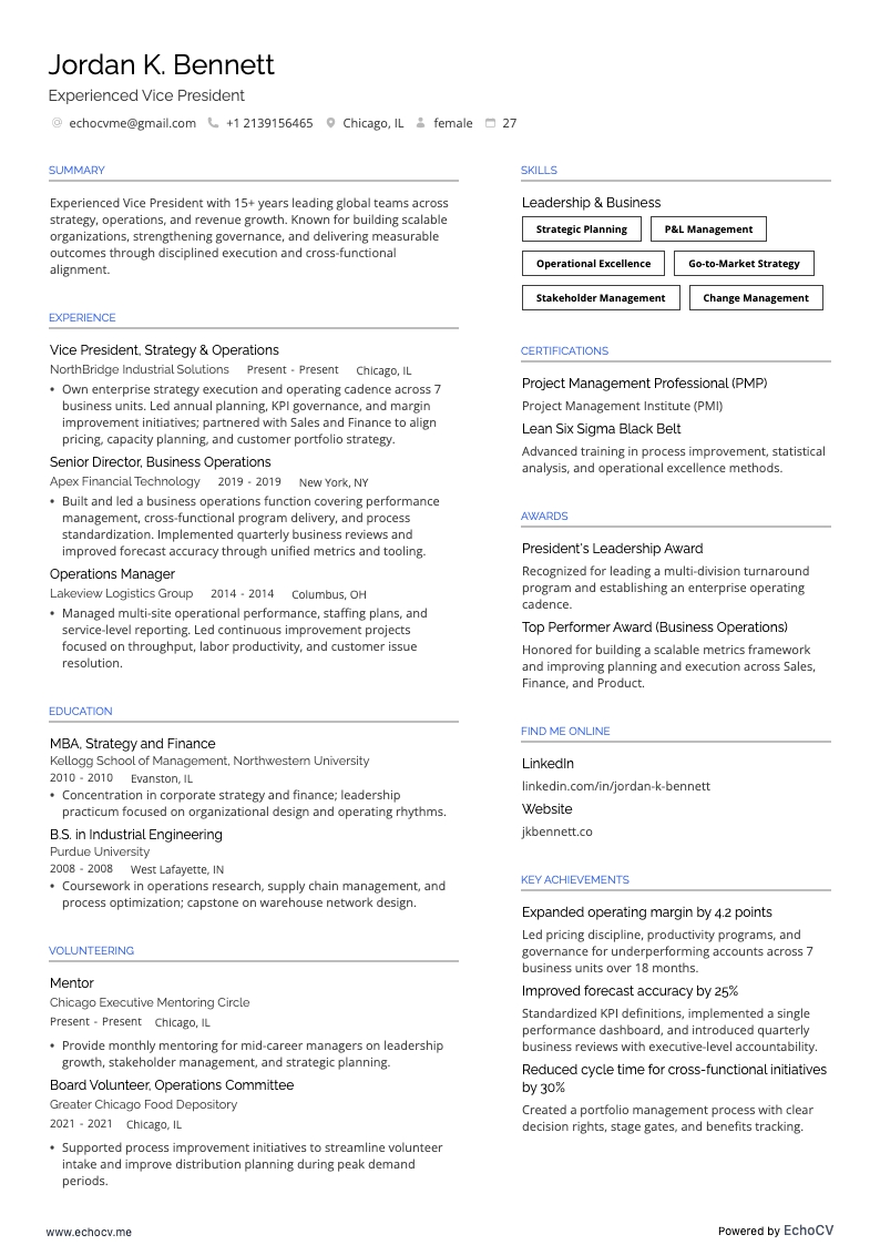 Vicepresidente resume example