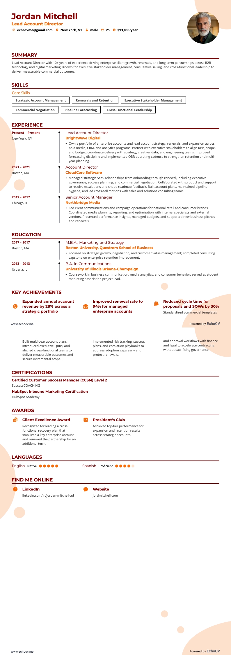 Accountdirecteur resume example