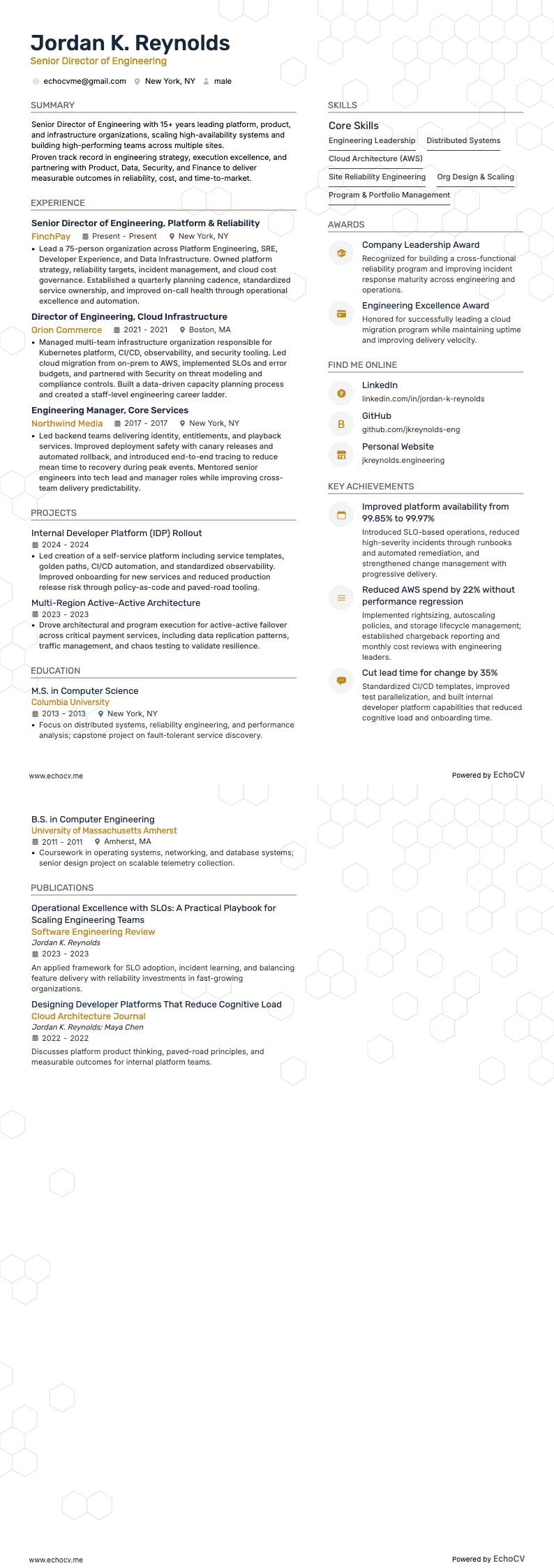 Diretor Sênior de Engenharia resume example