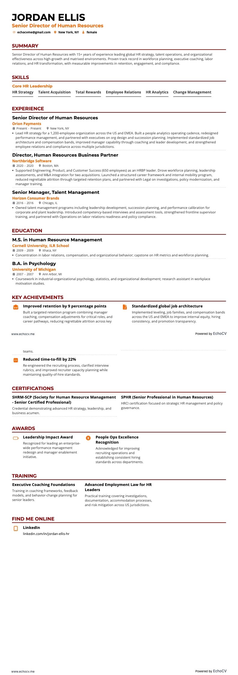 高級總監 resume example