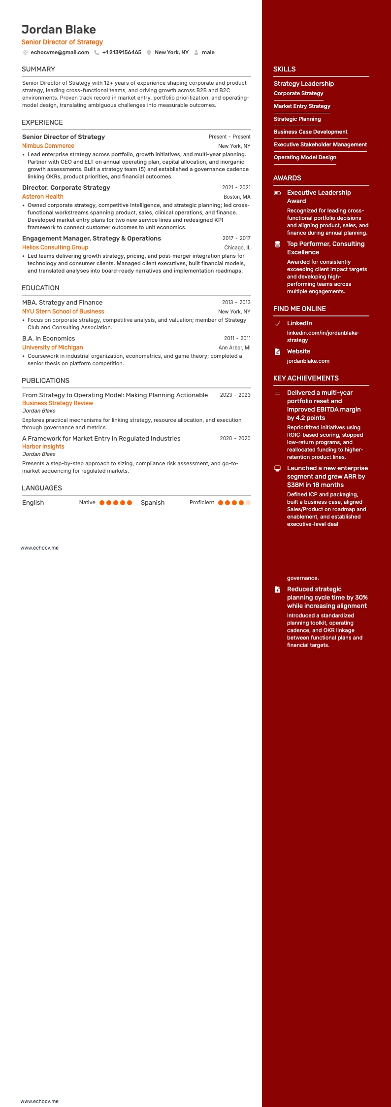 Diretor sênior de Estratégia example resume