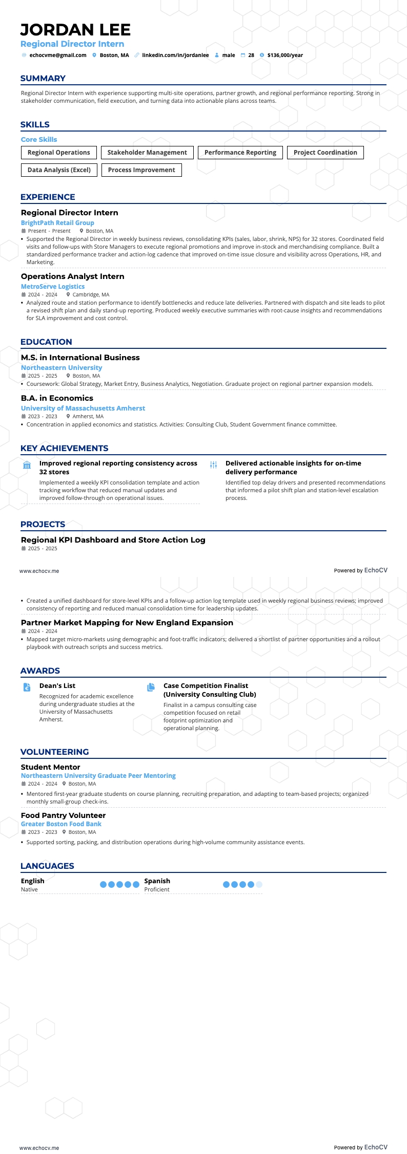 Regional Director Intern example resume