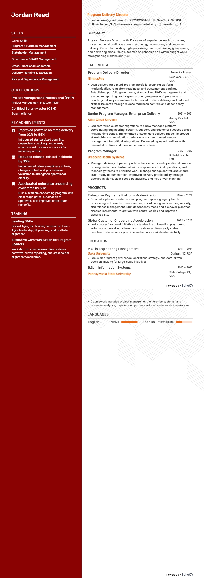 Giám đốc Chương trình resume example