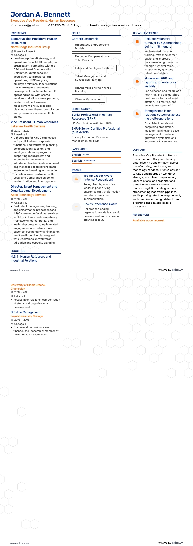 人力資源副總裁 resume example