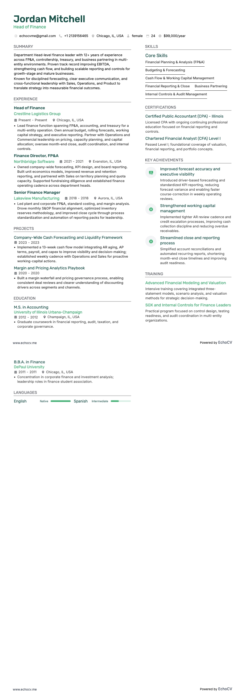 Director de Finanzas example resume