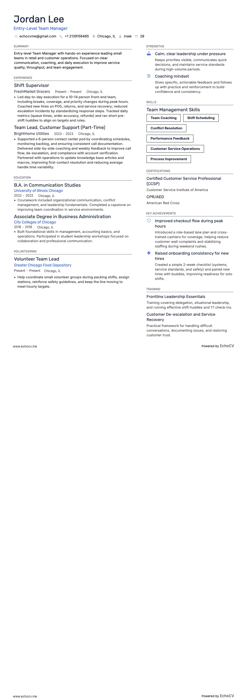 初級團隊經理 resume example