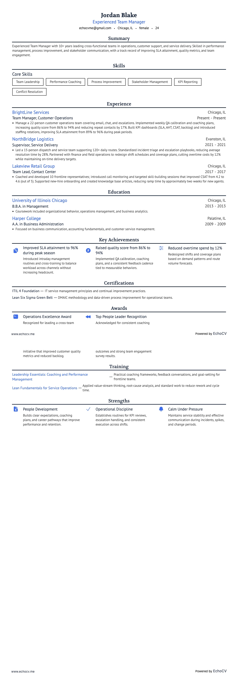 Experienced Team Manager full preview