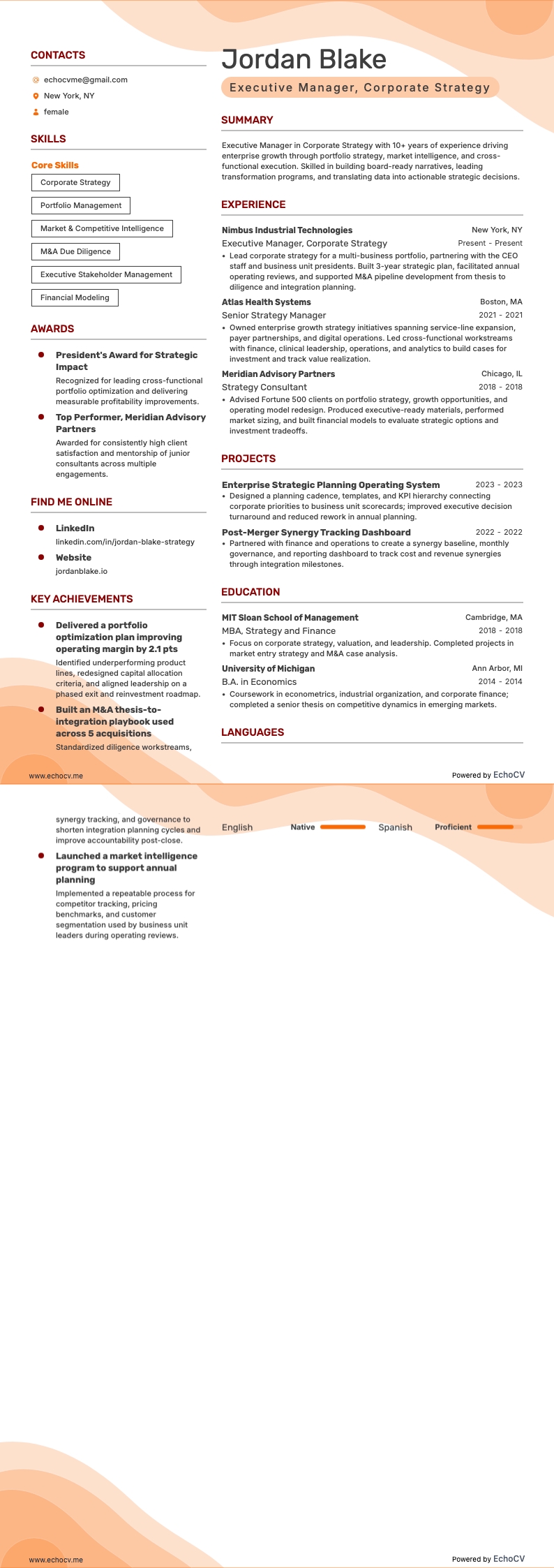 Executive Manager, Corporate Strategy example resume