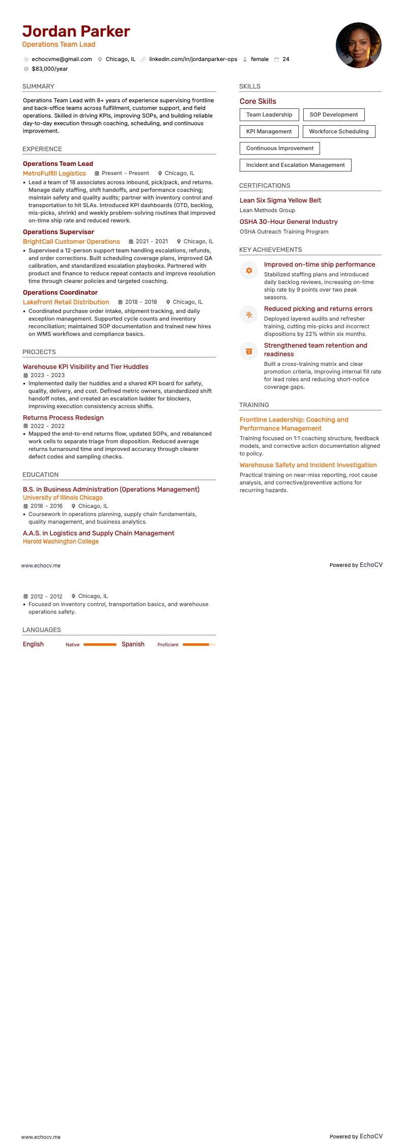 Operations Team Lead example resume