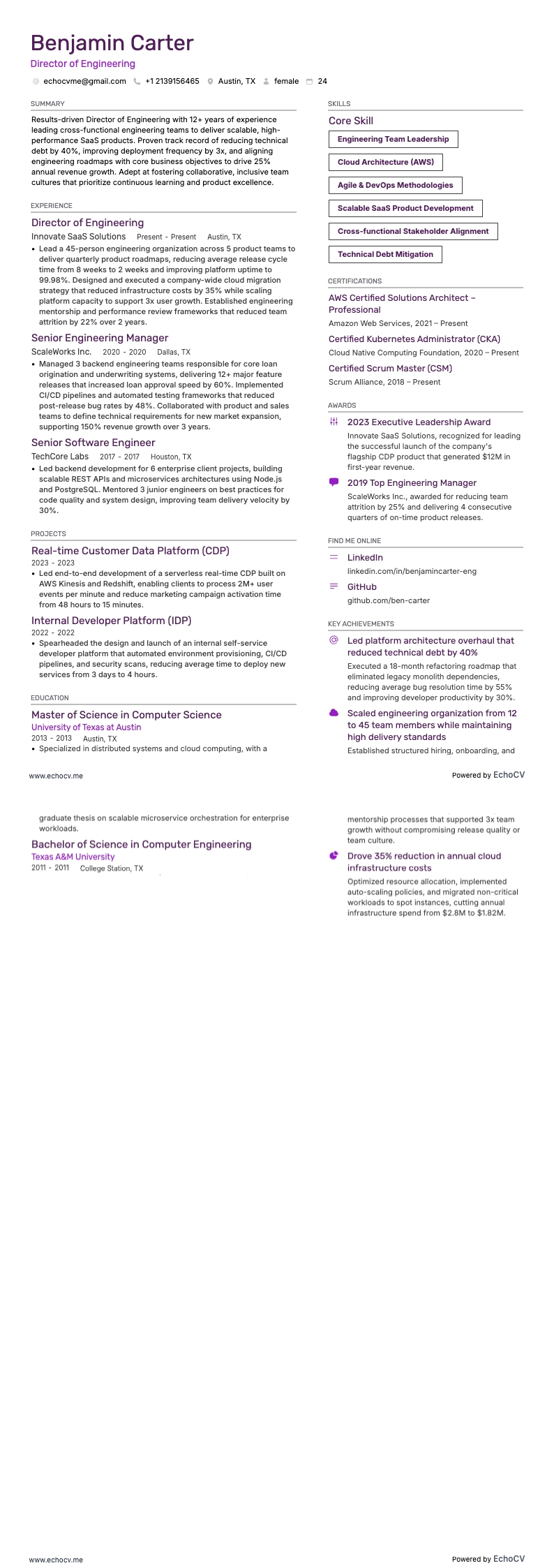 Director of Engineering example resume
