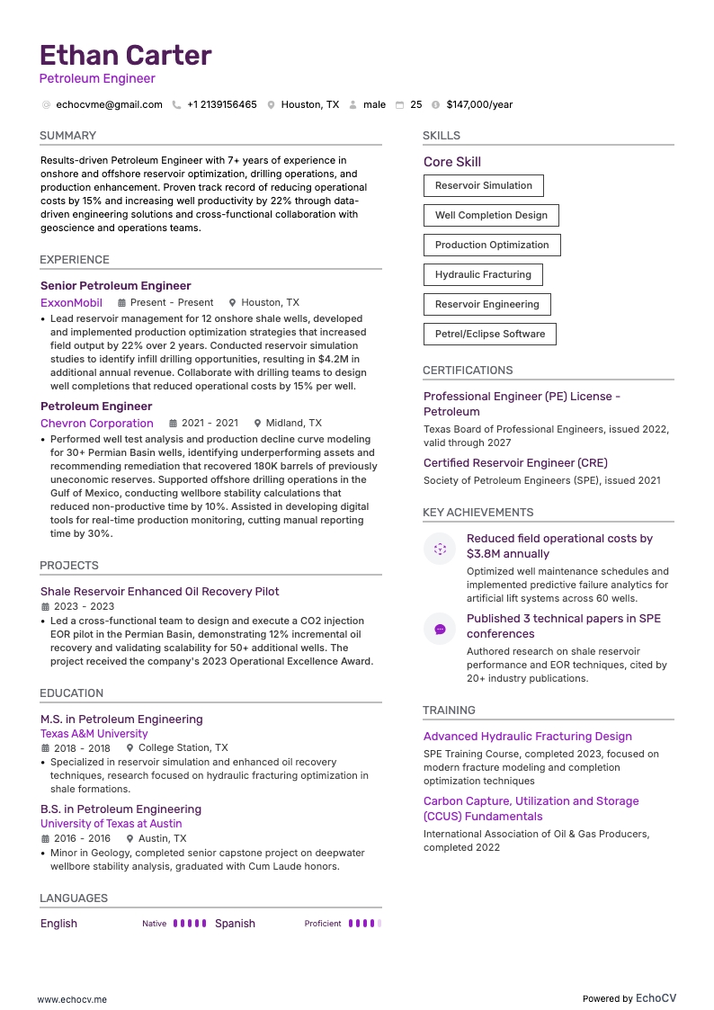 Petroleum Engineer example resume