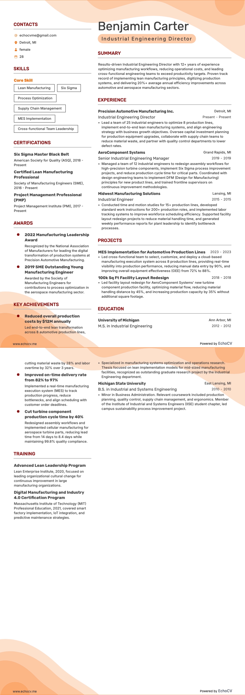Industrial Engineering Director example resume