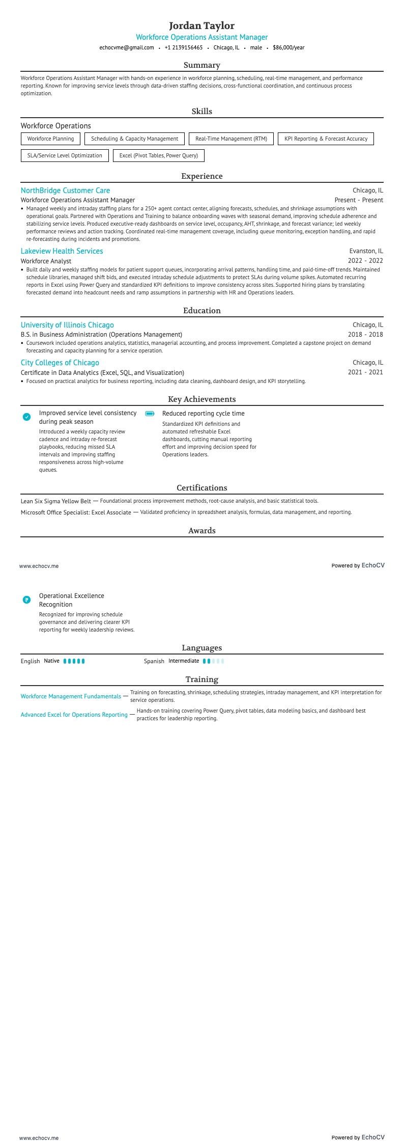 營運副理 resume example