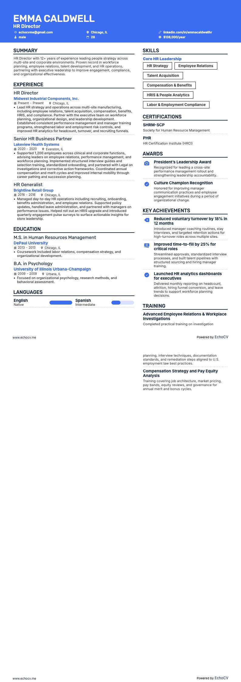 Diretor de Recursos Humanos resume example