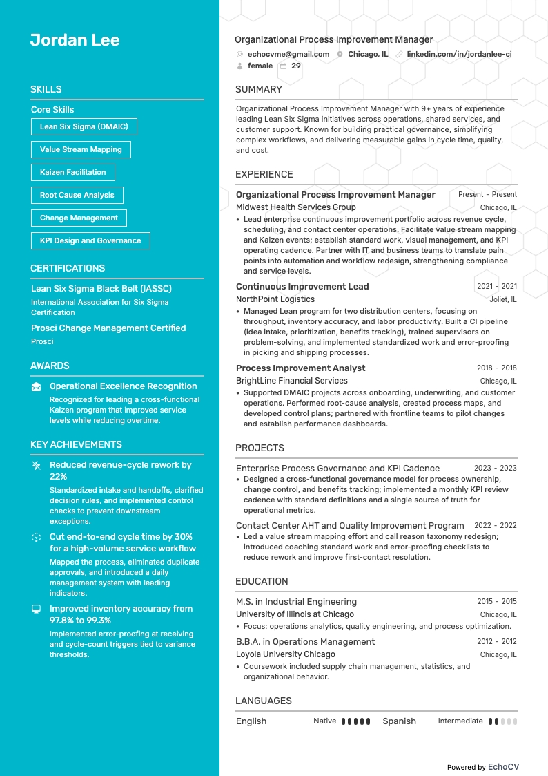 Manager organisatorische procesverbetering example resume
