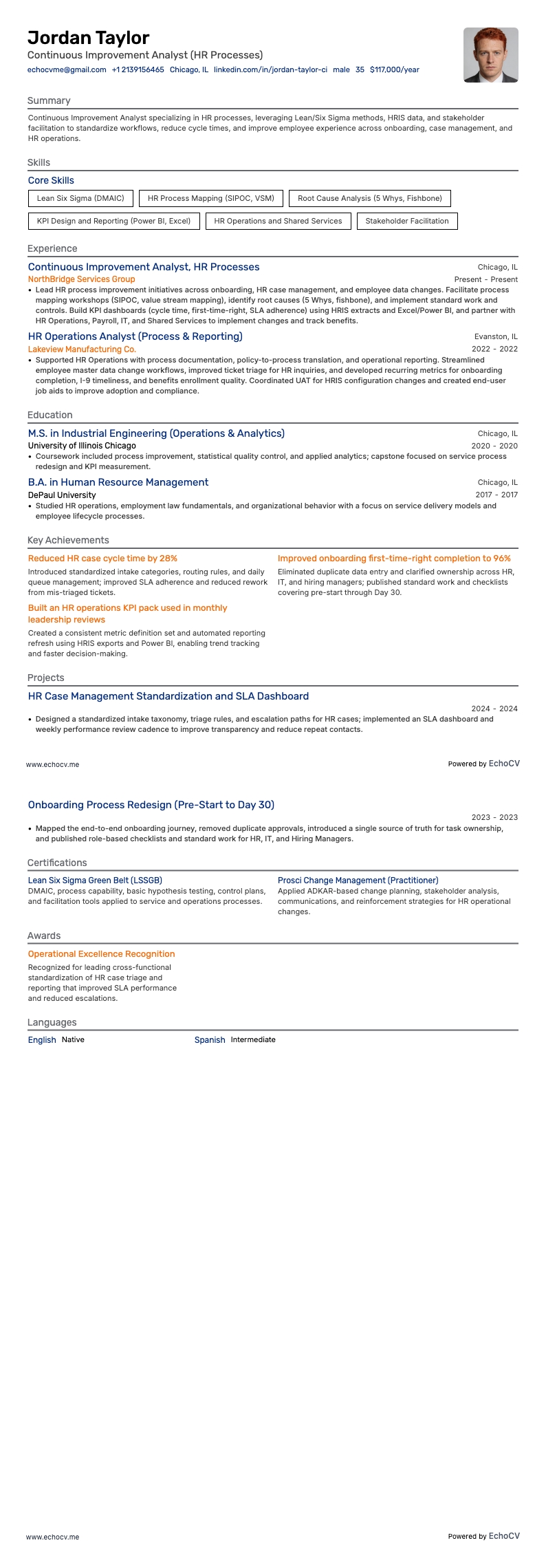 Manager continue verbetering resume example