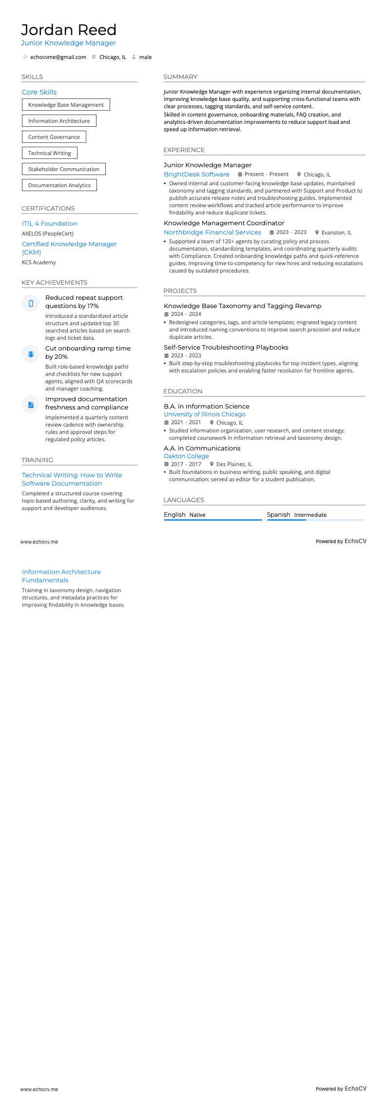 Gerente de Conhecimento Júnior example resume