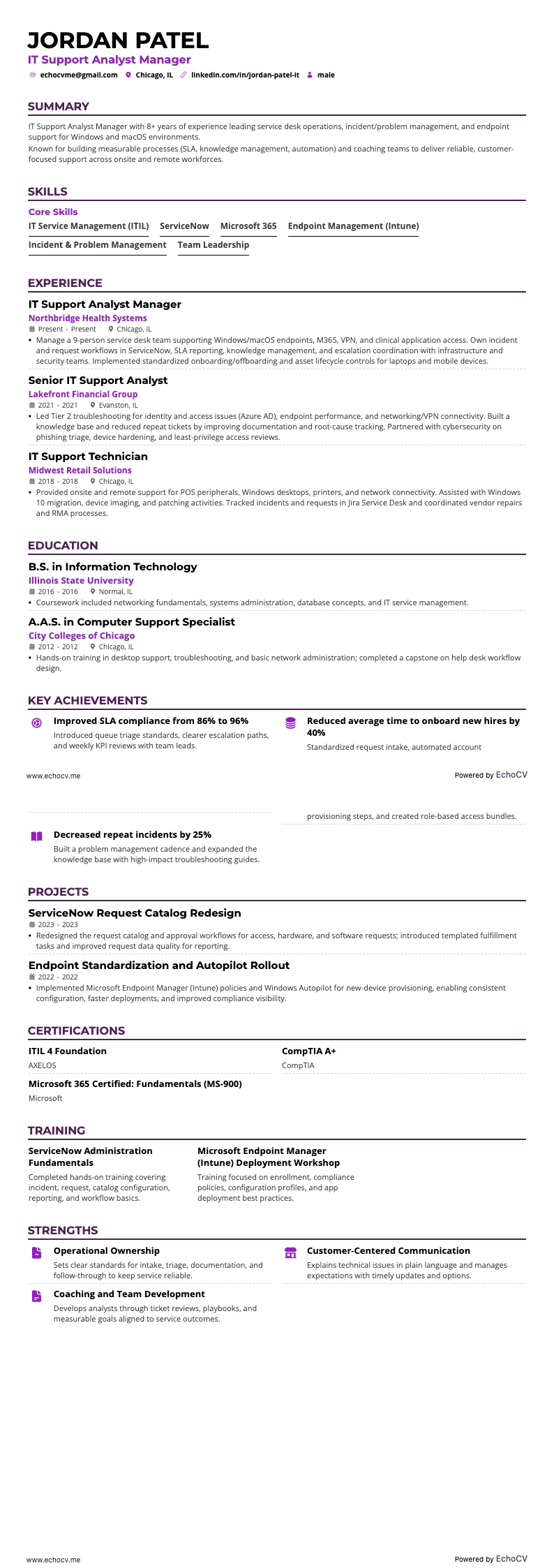 IT Support Analyst Manager full preview