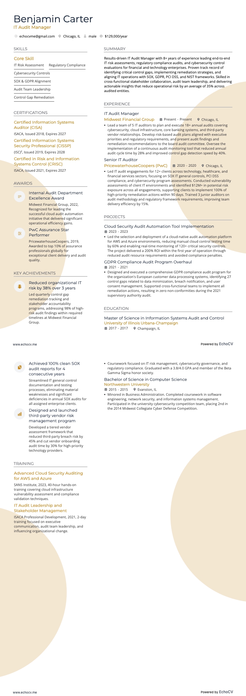 Responsable de l’audit informatique example resume