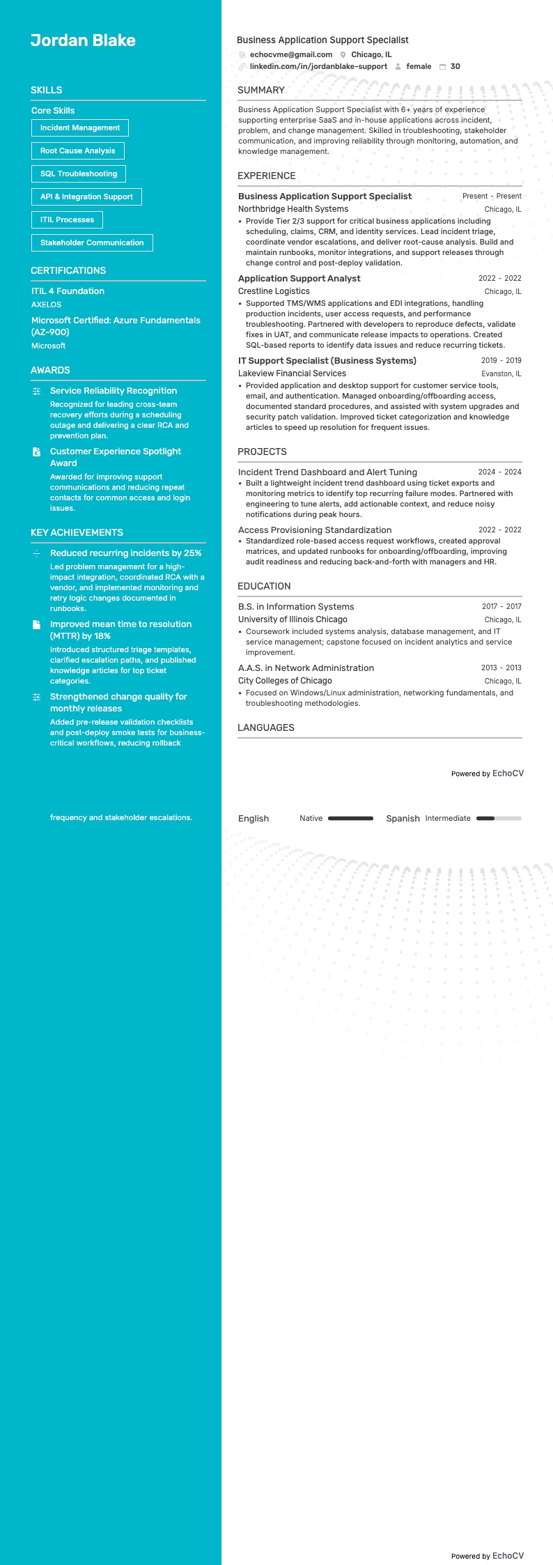 Analista del supporto applicativo resume example