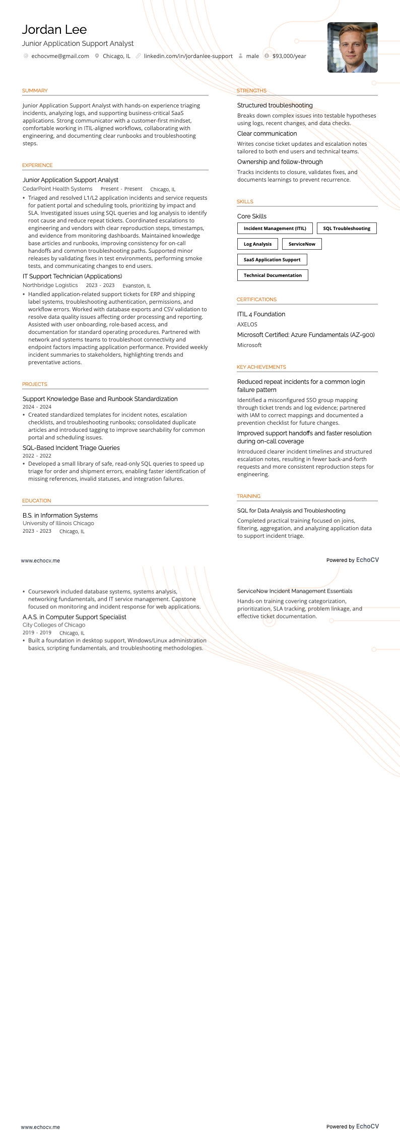 Analista junior del supporto applicativo example resume