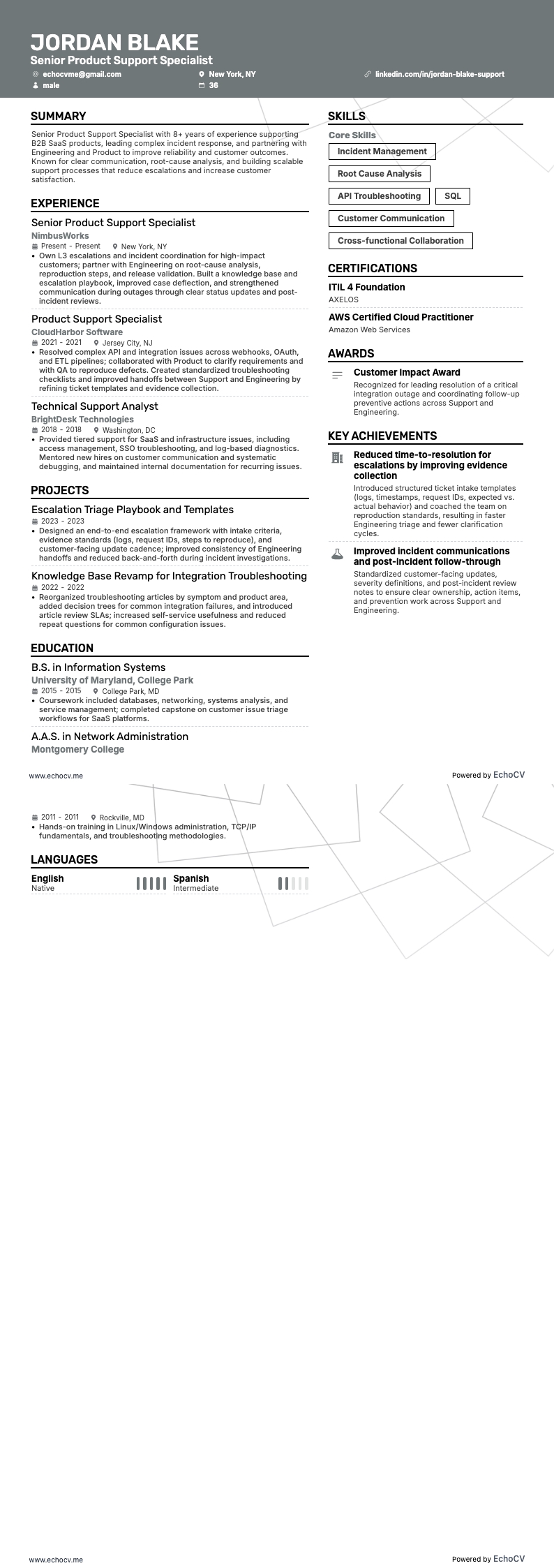 Senior Product Support Specialist example resume