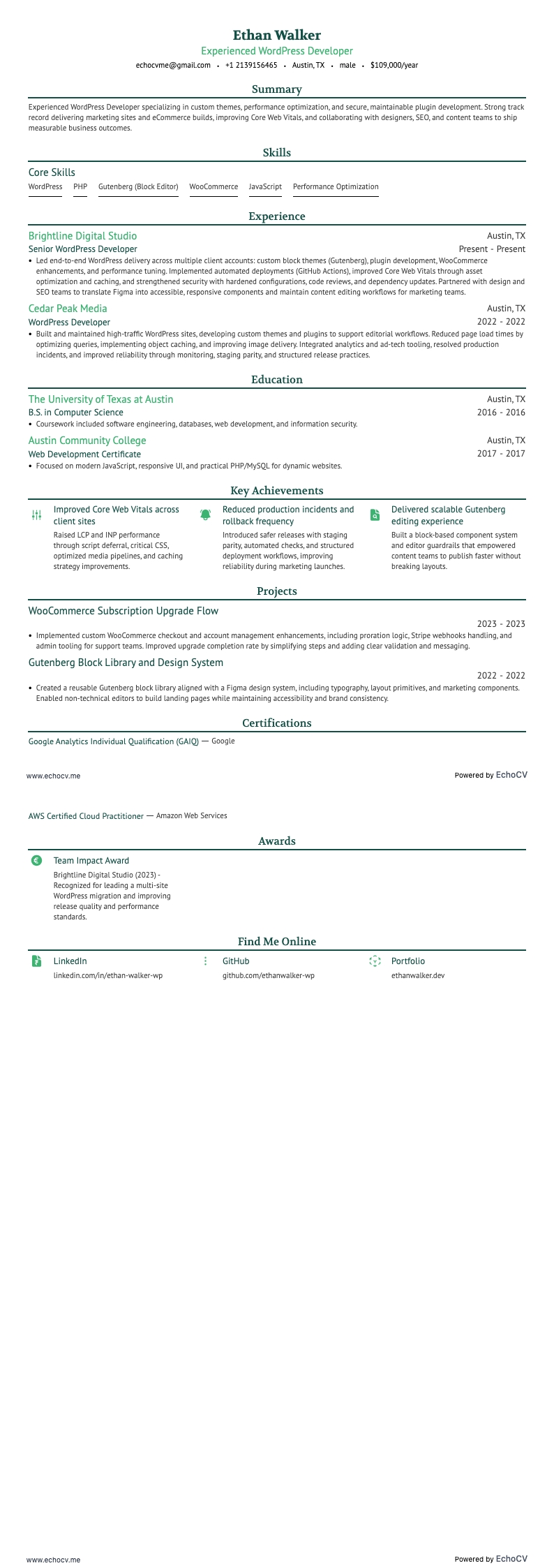 Experienced WordPress Developer full preview