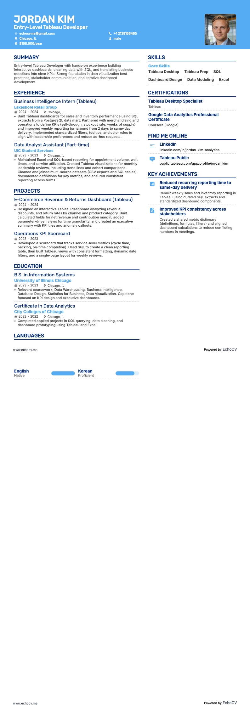 Entry-Level Tableau Developer example resume