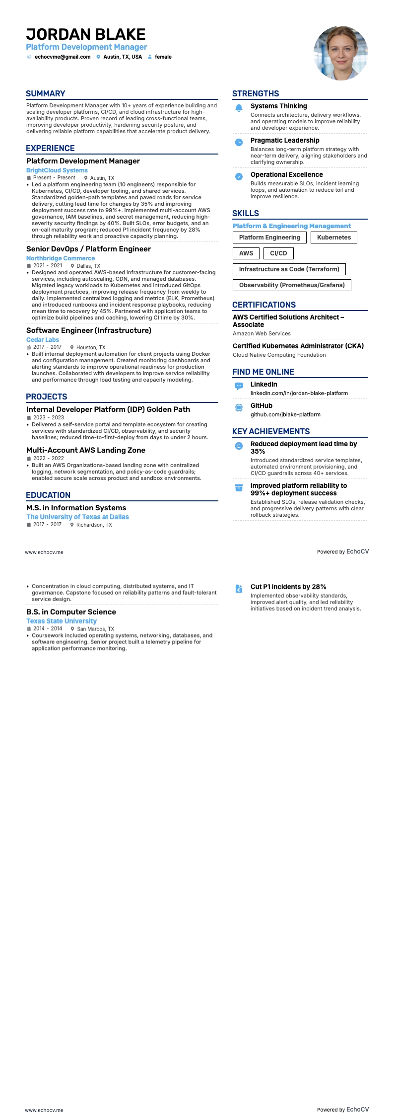 개발 관리자 resume example