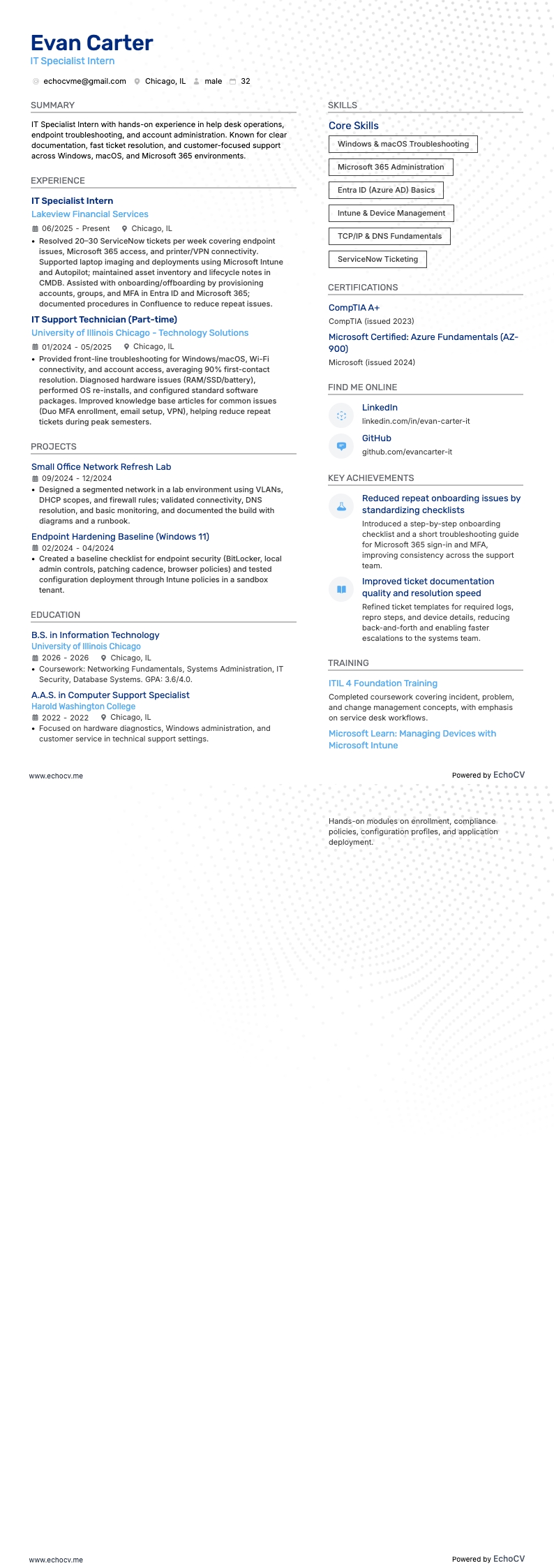 IT 專員實習生 resume example