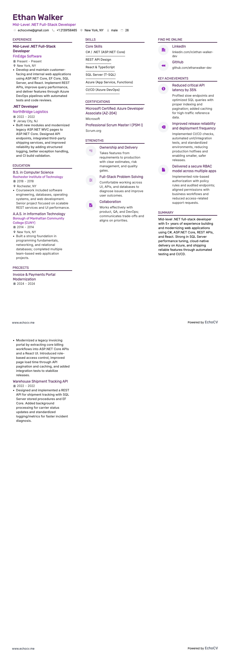 Mid-Level .NET Full-Stack Developer full preview