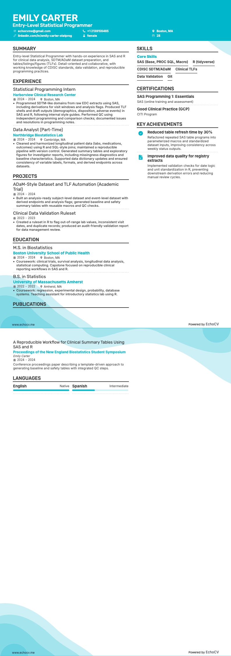 Entry-Level Statistical Programmer example resume