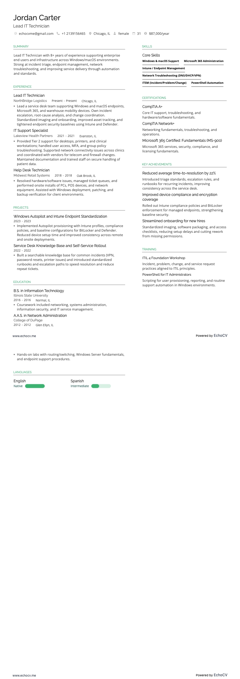 Lead IT Technician full preview