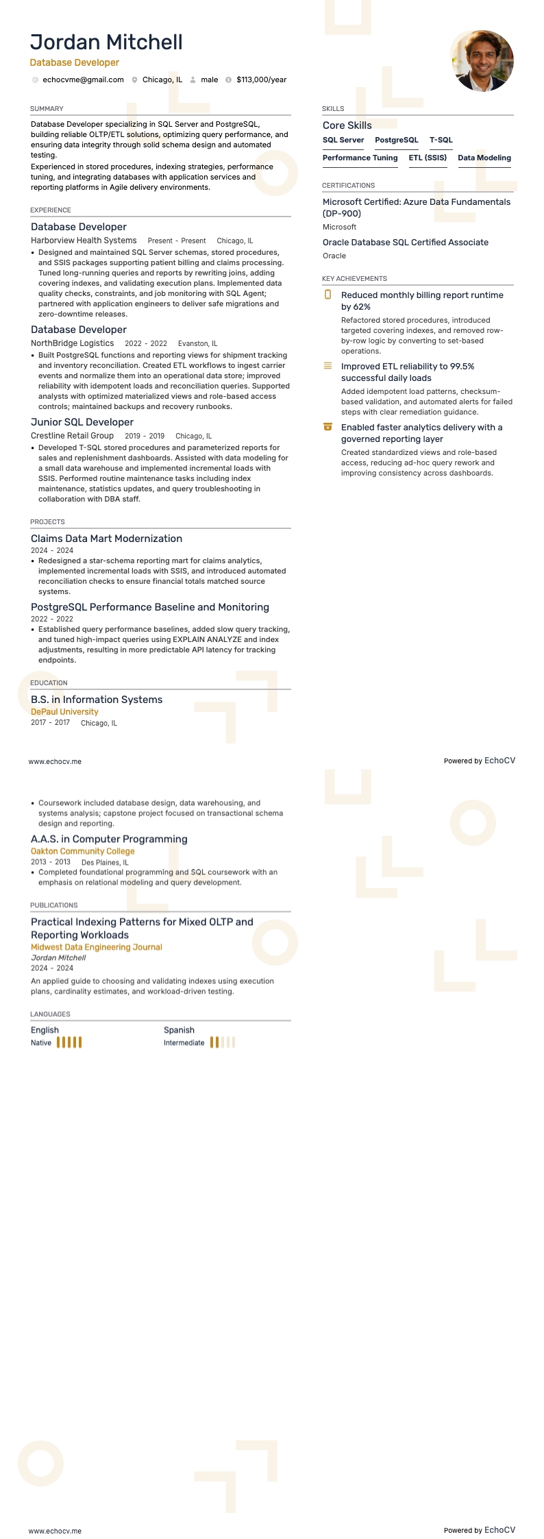 Database Developer example resume