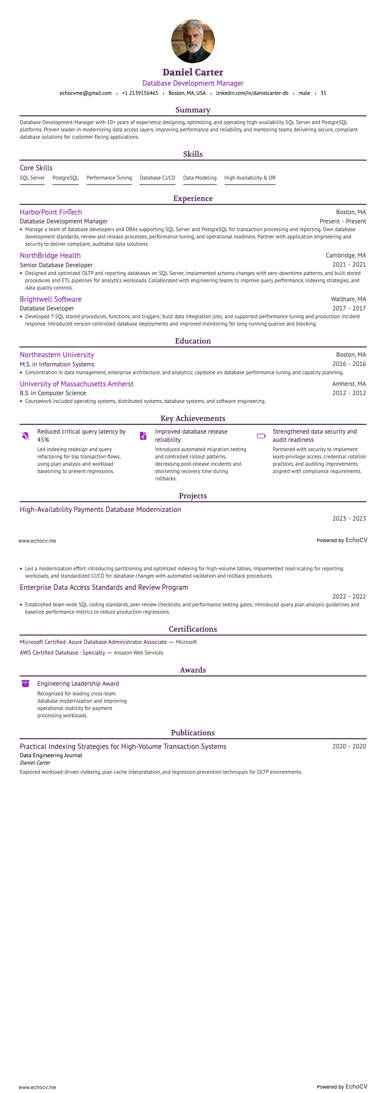 Database Development Manager full preview