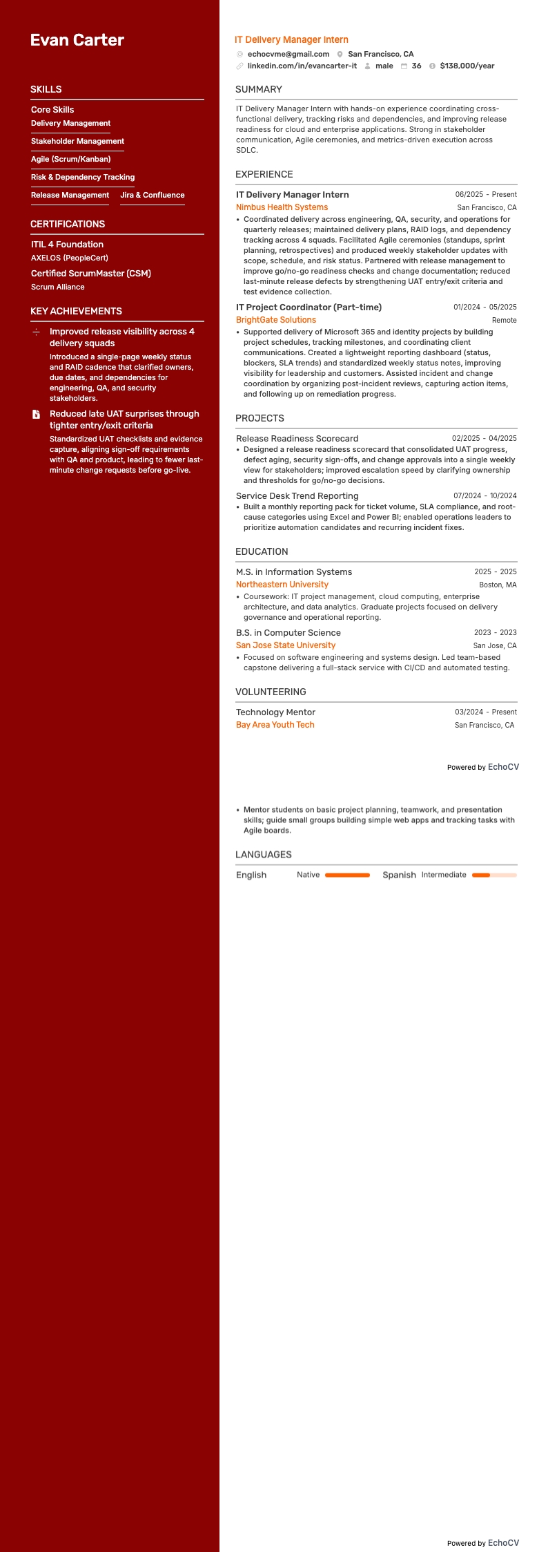 IT Delivery Manager Intern example resume