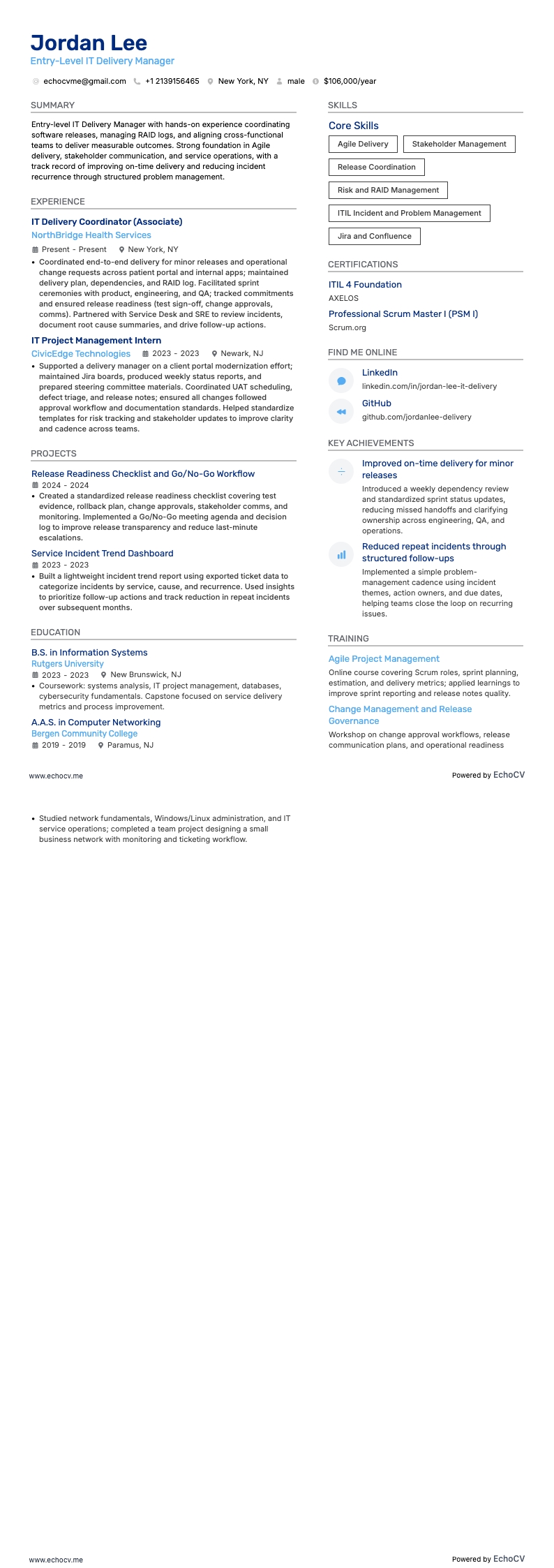 Entry-Level IT Delivery Manager full preview