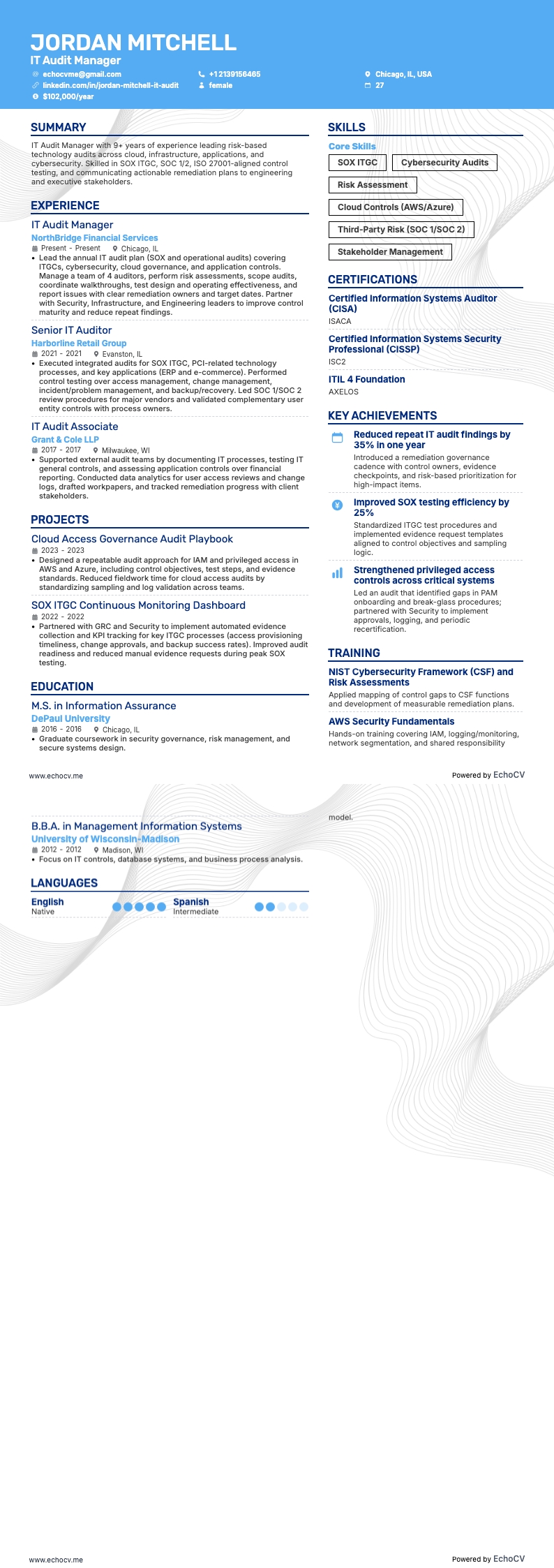 IT Audit Manager example resume