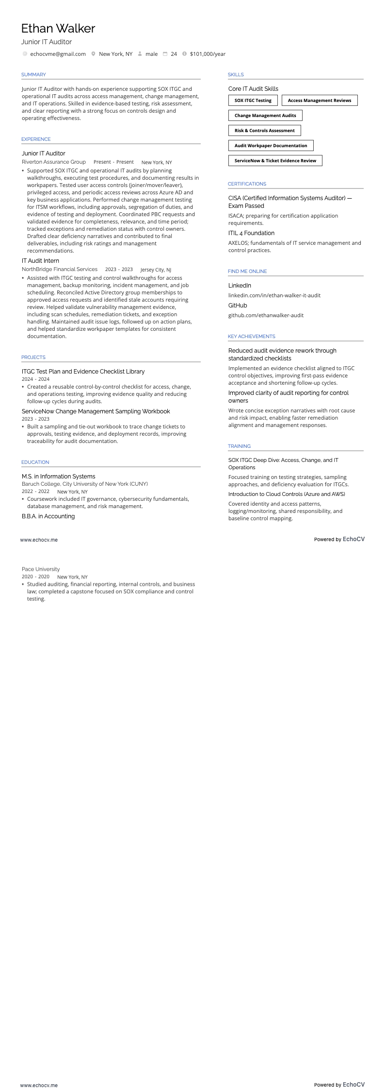 Junior IT Auditor example resume