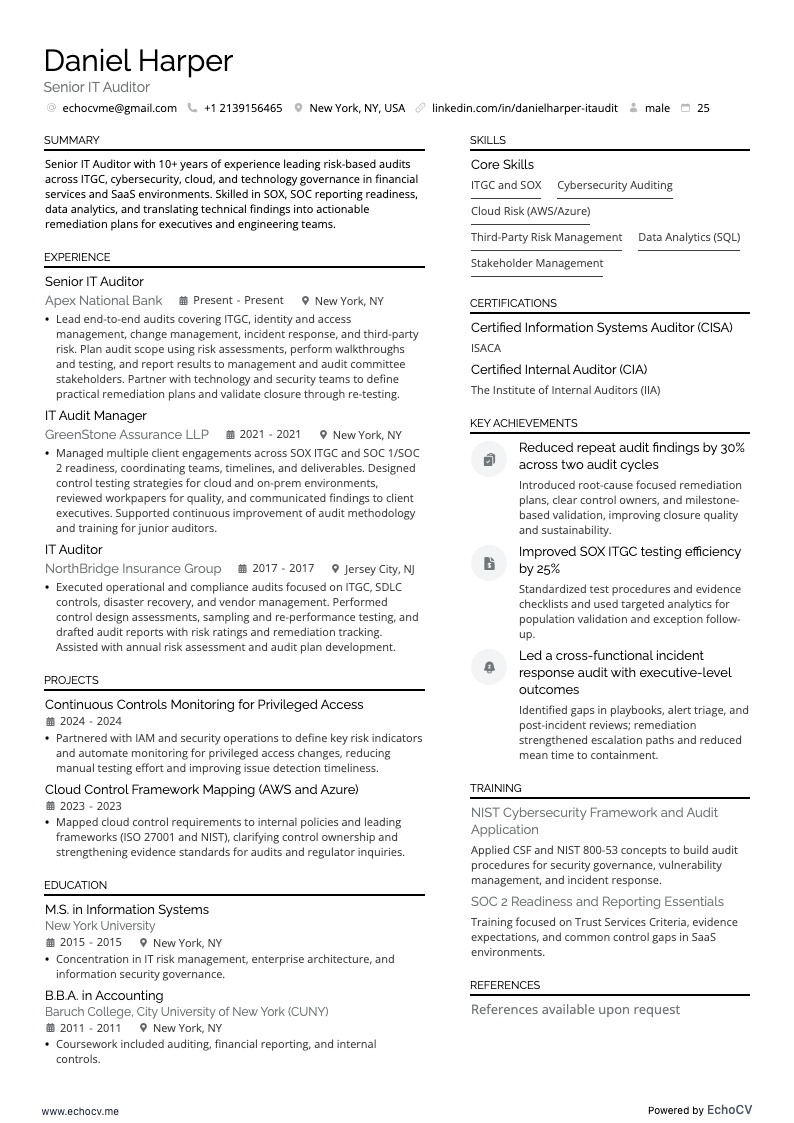 Senior IT Auditor full preview